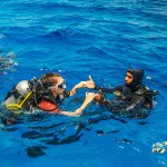 PADI Professional Courses