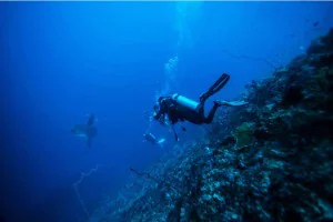 Nitrogen Narcosis: What Divers Need to Know