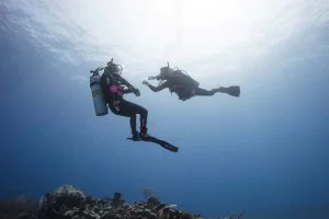 Why Become A PADI Divemaster?