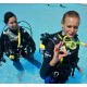 PADI Open Water Diver Course